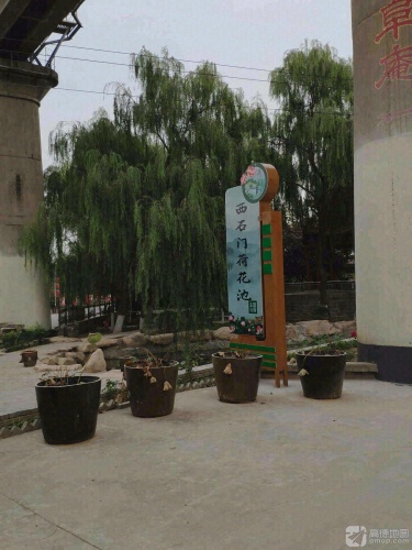 西石门荷花池主题公园