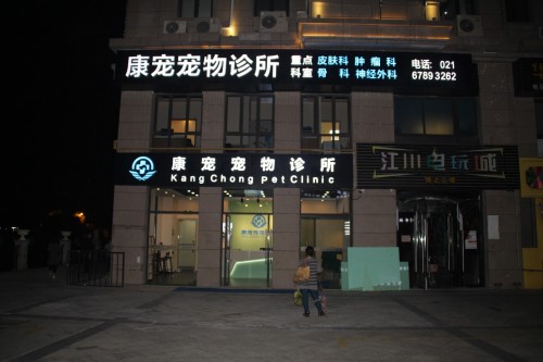 上海康宠宠物诊所(江川北路店)