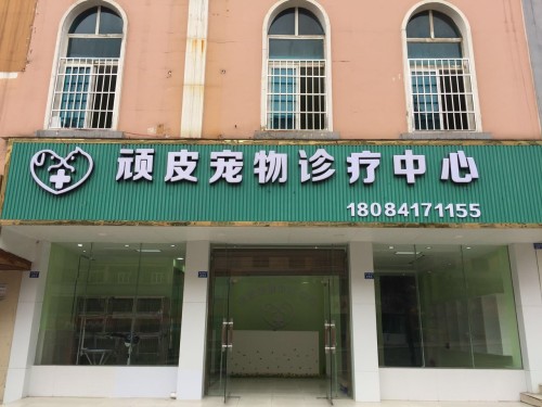顽皮宠物诊疗中心