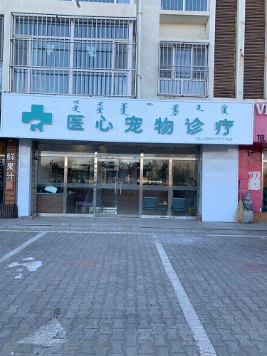 医心宠物诊疗