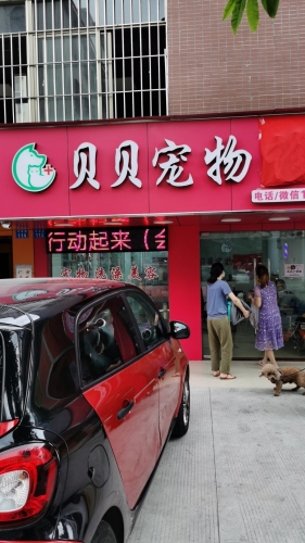 贝贝宠物诊所