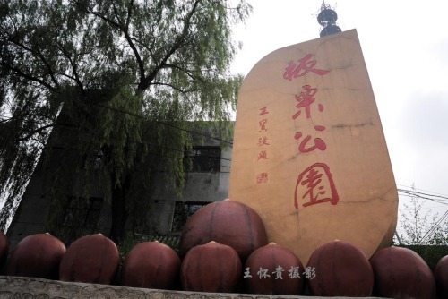 板栗公园