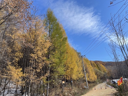 蛟河天岗太平沟