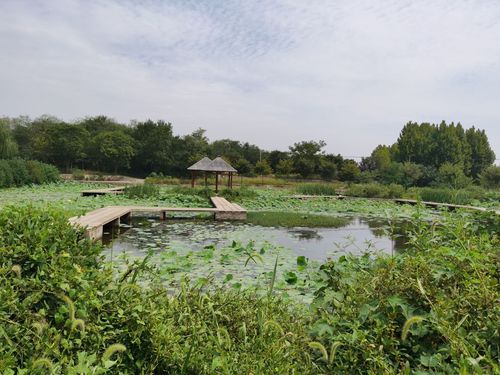 彭家湾植物园