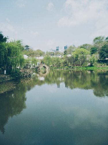 盐都植物园