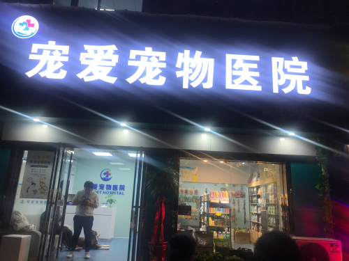 宠爱宠物医院