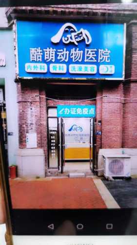 酷萌动物医院美容部