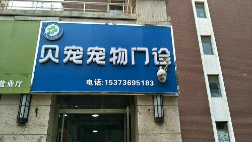 贝宠宠物门诊