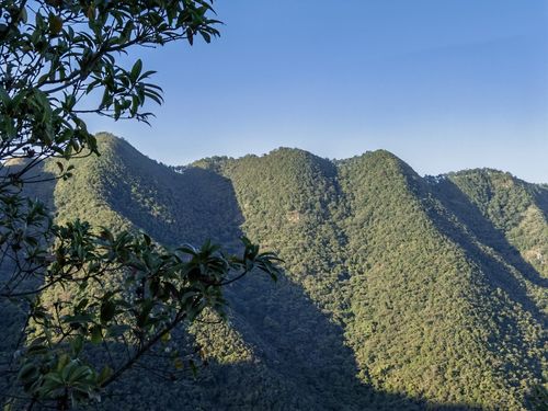 北岭山森林公园