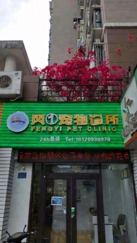 风一宠物诊所