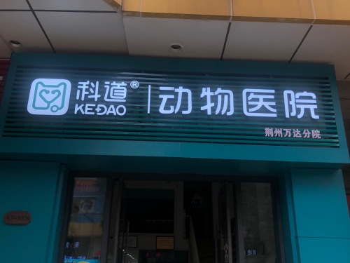 科道宠物(荆州分院)