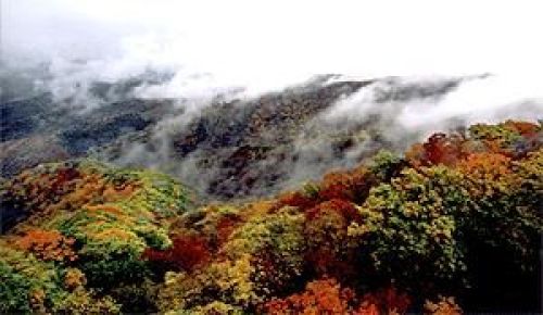 三块石森林公园
