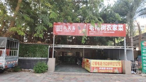 乐东黄流老榕树农家乐饭店