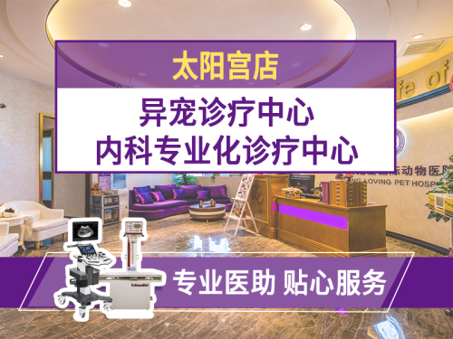 宠爱国际动物医院(太阳宫店)