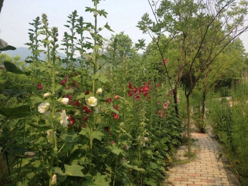 绣溪公园