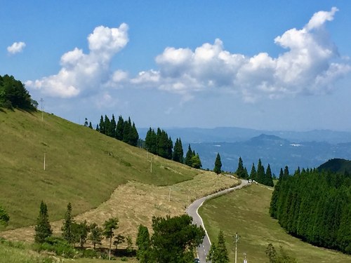 歧山草原