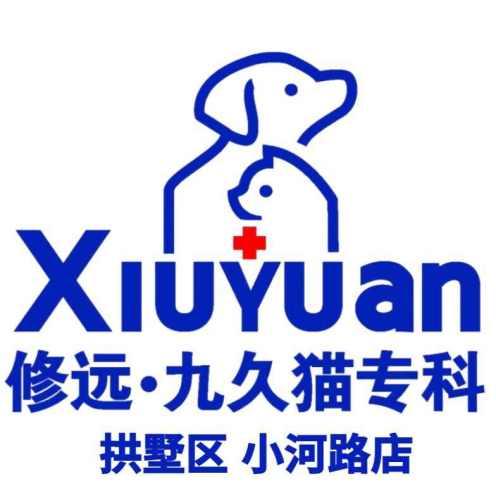 九久猫专科医院(小河路店)