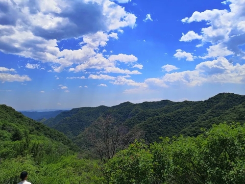 仙台山