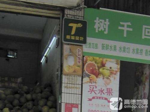 椰海金叶