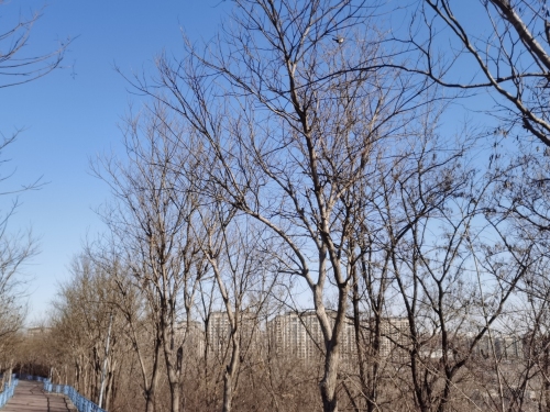 滦州龙山中山公园