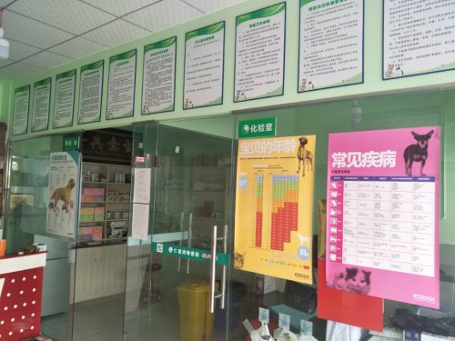 梓潼县仁爱动物医院
