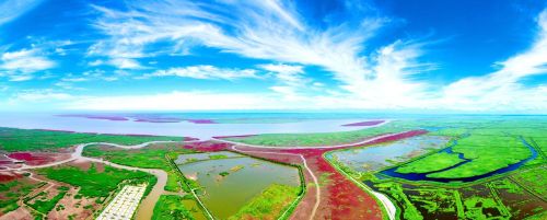 辽河醉美湿地