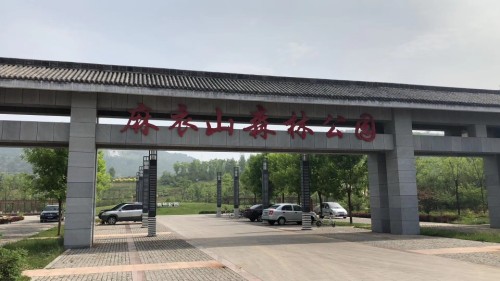 麻衣山森林公园