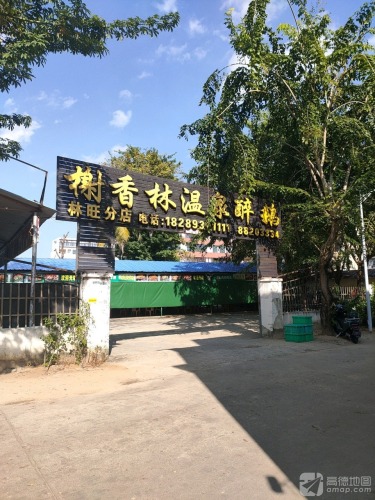 榭香林温泉醉鹅(林旺分店)