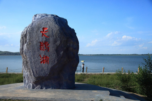 沽源天鹅湖