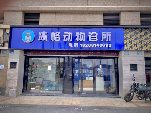 冰格动物诊所