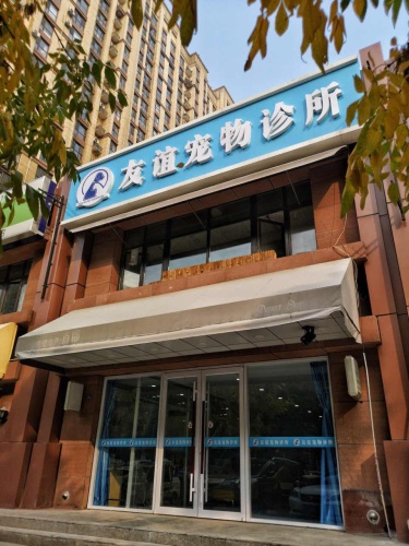 友谊宠物诊所