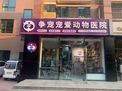争宠宠爱动物医院