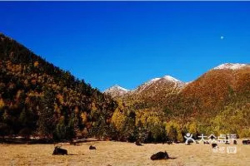 甘孜稻城亚丁景区-甘孜俄初山的第2张图片的图片资料