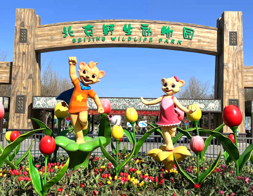 夏季