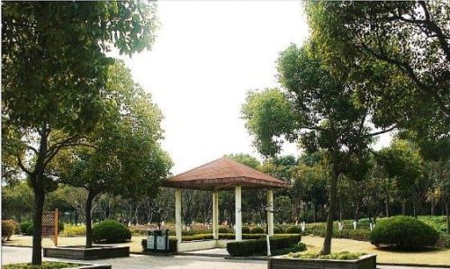 吴泾公园
