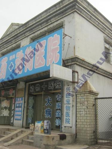 新兴旺动物医院