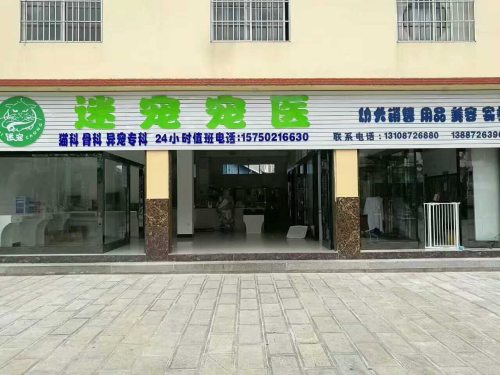 迷宠宠医