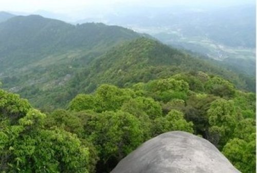 松柏岩