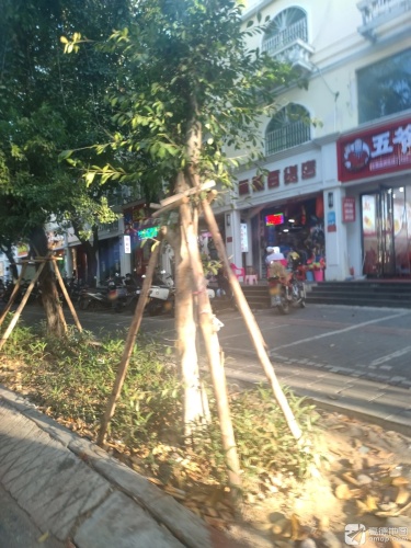 佩燕百货店