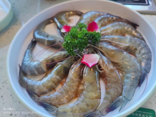 琼州·糟粕醋火锅(椰梦长廊店)