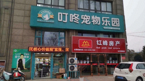 叮咚宠物诊所
