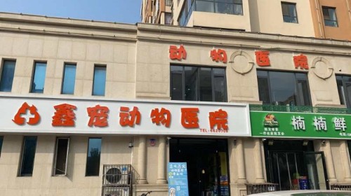 鑫宠动物医院(龙华名苑店)