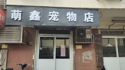 萌鑫宠物