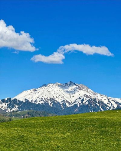 恰西草原风景旅游区