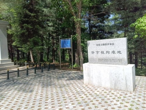许亨植牺牲地