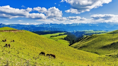 桂林龙胜南山牧场