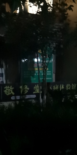 Gallery 3