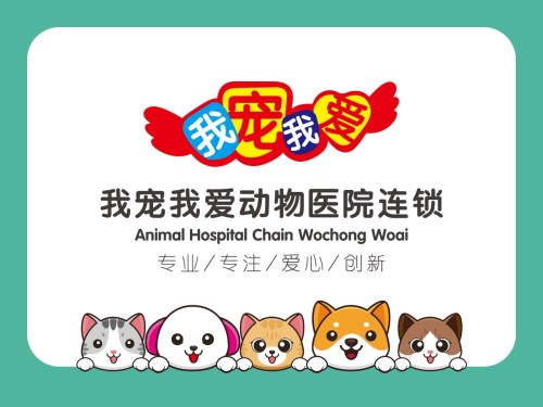 我宠我爱动物医院(亿丰店)