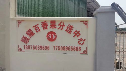 文昌顺耀百香果分选中心
