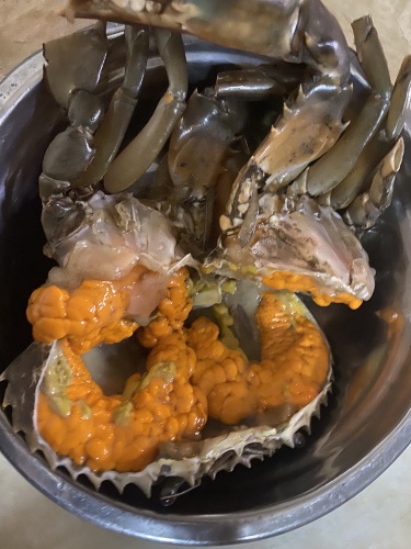 钦辉蟹粥鸽鸽店
